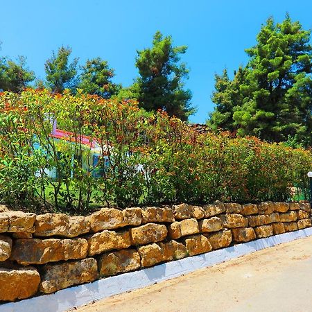 Ariadni Villa Sani Sani  외부 사진