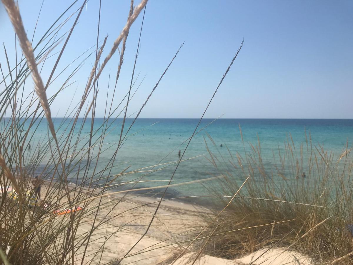 Ariadni Villa Sani Sani  외부 사진